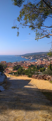 Dr Pascal Rozot à Marseille