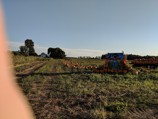 Produce Market «Rush Vegetables», reviews and photos, 2120 Eagle Harbor Waterport Rd, Albion, NY 14411, USA