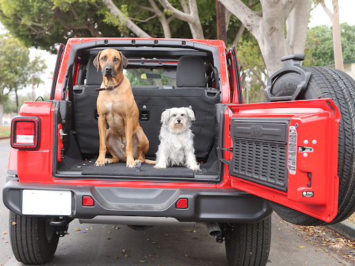 Transmission Shop «AAMCO Transmissions & Total Car Care», reviews and photos, 2020 Ogden Ave, Lisle, IL 60532, USA