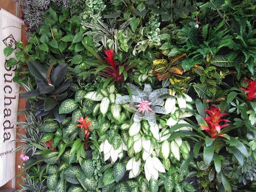 Spa «Suchada Herbal Spa», reviews and photos, 2 Division St, San Francisco, CA 94103, USA