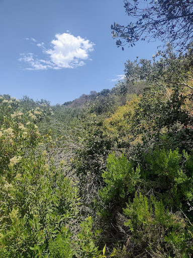 Nature Preserve «Buck Gully Reserve», reviews and photos, San Joaquin Hills Rd, Newport Beach, CA 92657, USA