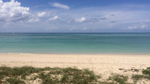 Mtsanga Safari Beach photo #2