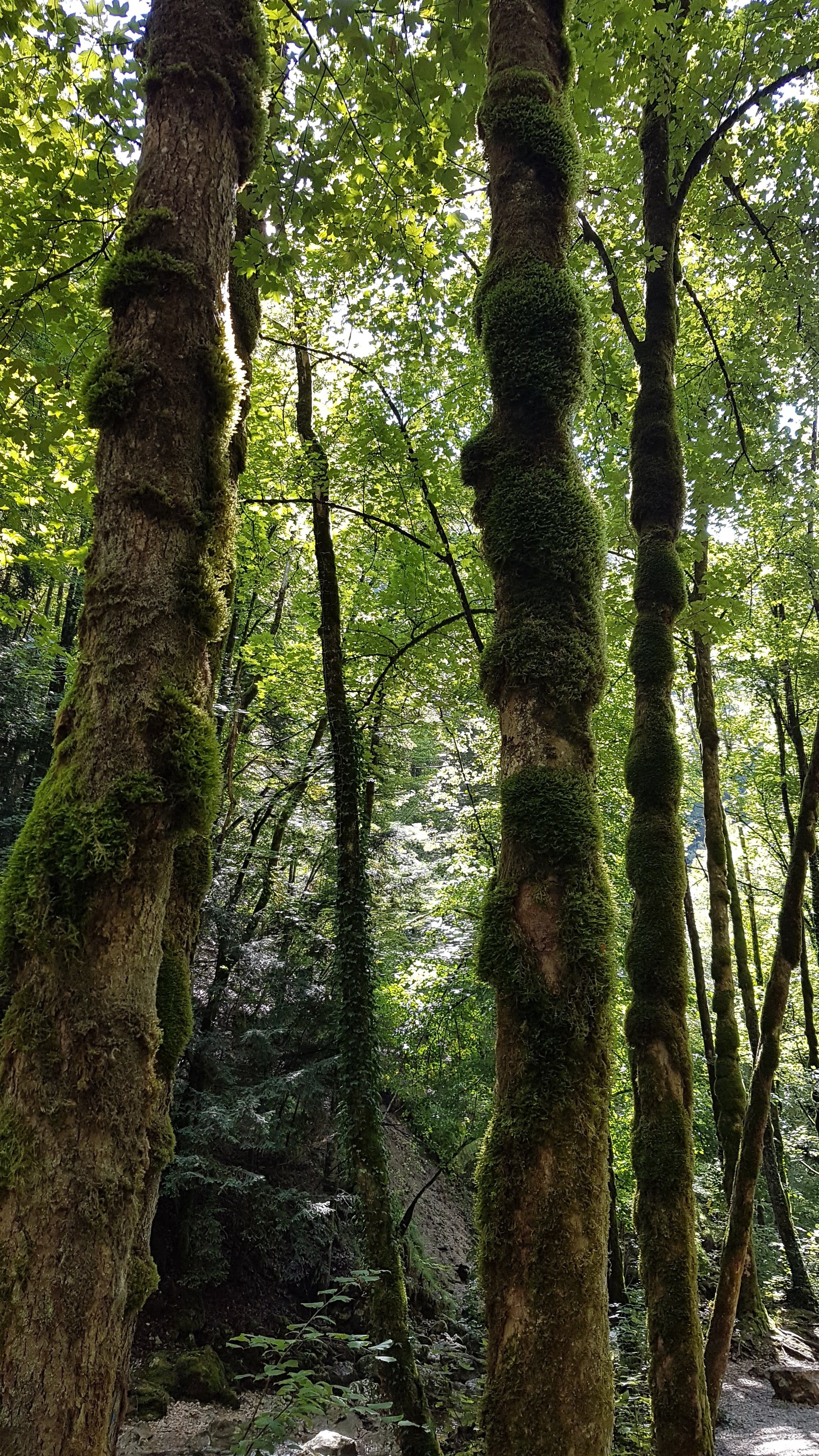 Photo n° 7 de l'avis de Yves-Marie.a fait le 13/09/2018 à 12:23