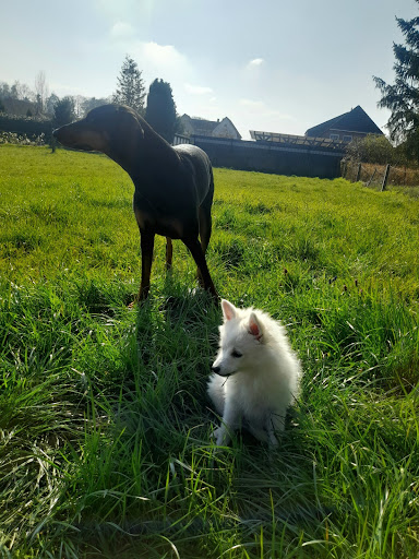 Dr.vet.. Helfried Möller unter Wacken, 
