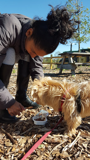 Event Venue «The Vineyards at Aquebogue», reviews and photos, 978 NY-25, Riverhead, NY 11901, USA