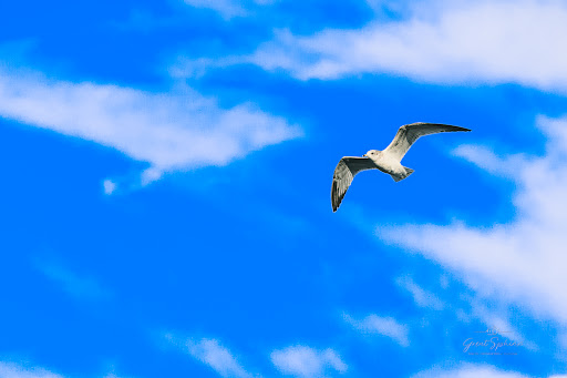 Park «D.W. Field Park», reviews and photos, D W Field Pkwy, Brockton, MA 02301, USA