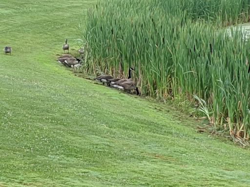 Lodge «The Lodge at Liberty Forge», reviews and photos, 3804 Lisburn Rd, Mechanicsburg, PA 17055, USA