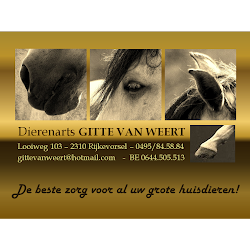 Dierenarts GITTE VAN WEERT