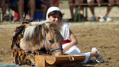 Centre Equestre Des Rollats à Saint-Rémy-en-Rollat