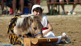 Centre Equestre Des Rollats Saint-Rémy-en-Rollat