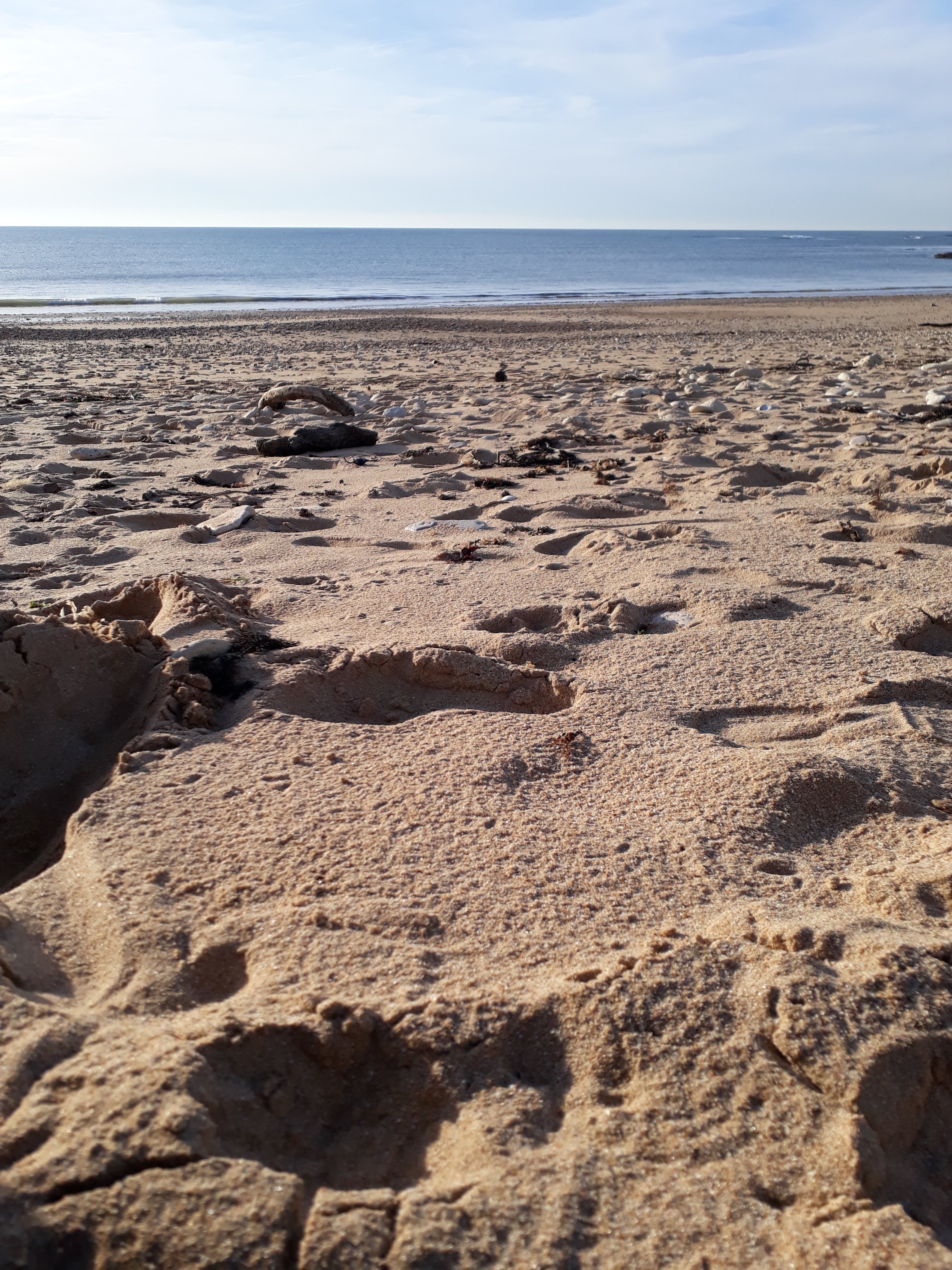 Photo n° 36 de l'avis de Julien.a fait le 26/12/2018 à 16:51