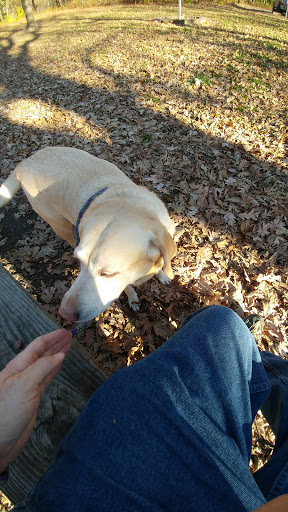 Park «Jester Park», reviews and photos, 11407 Northwest Jester Park Drive, Granger, IA 50109, USA