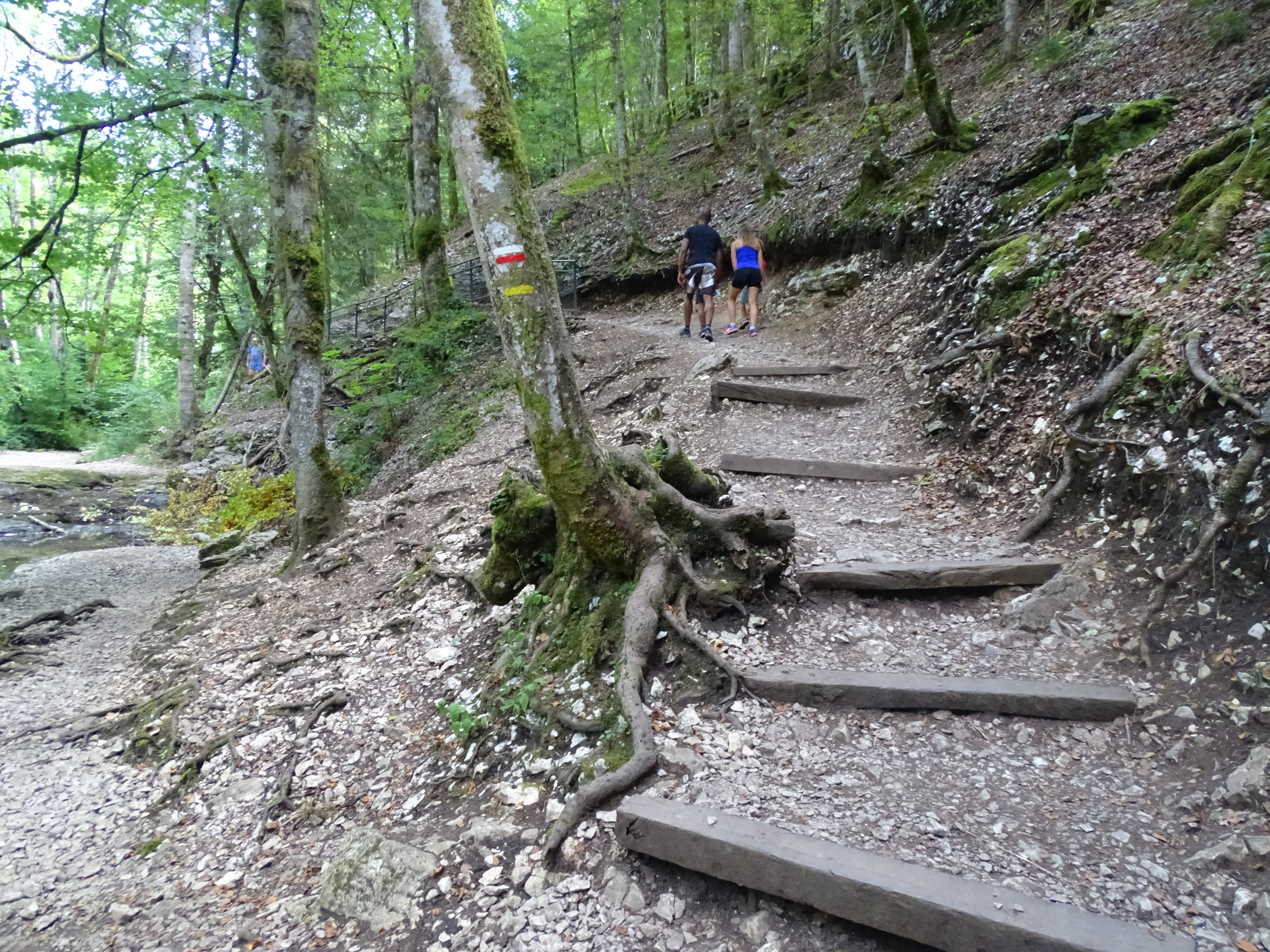 Photo n° 5 de l'avis de Philippe.a fait le 20/08/2020 à 12:59