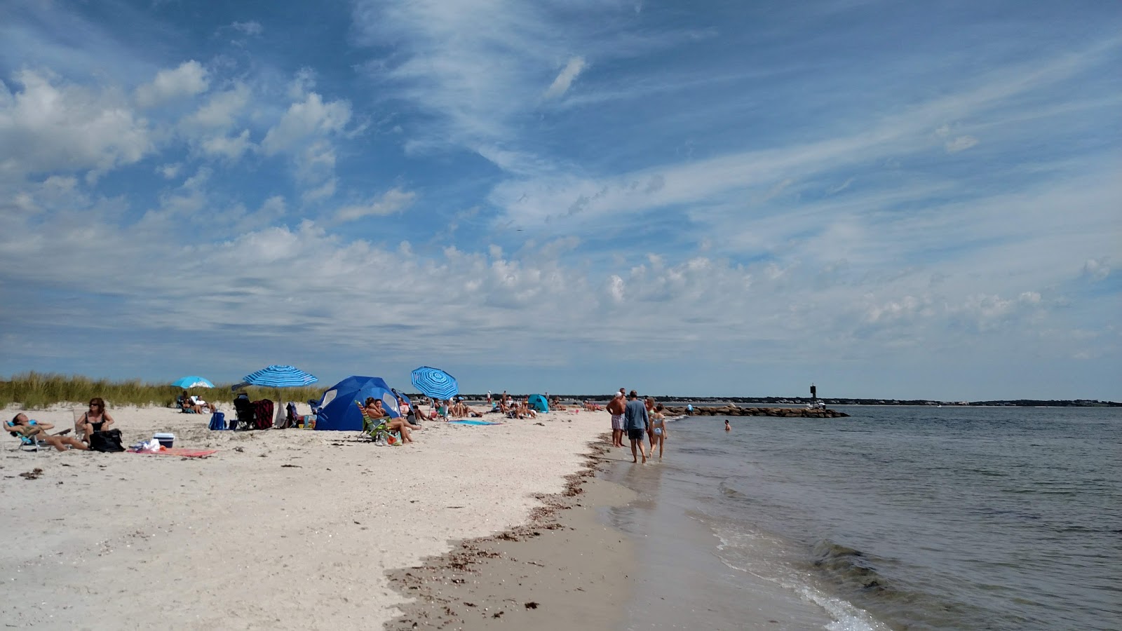 Foto de Dowses Beach con costa recta y larga