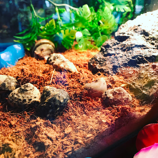 Pet Supply Store «Animal Kingdom of Santa Monica», reviews and photos, 300 Pico Blvd, Santa Monica, CA 90405, USA