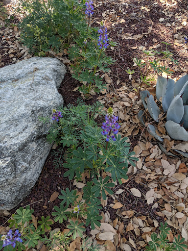 Waterwise Community Center & Chino Basin Water Conservation District image