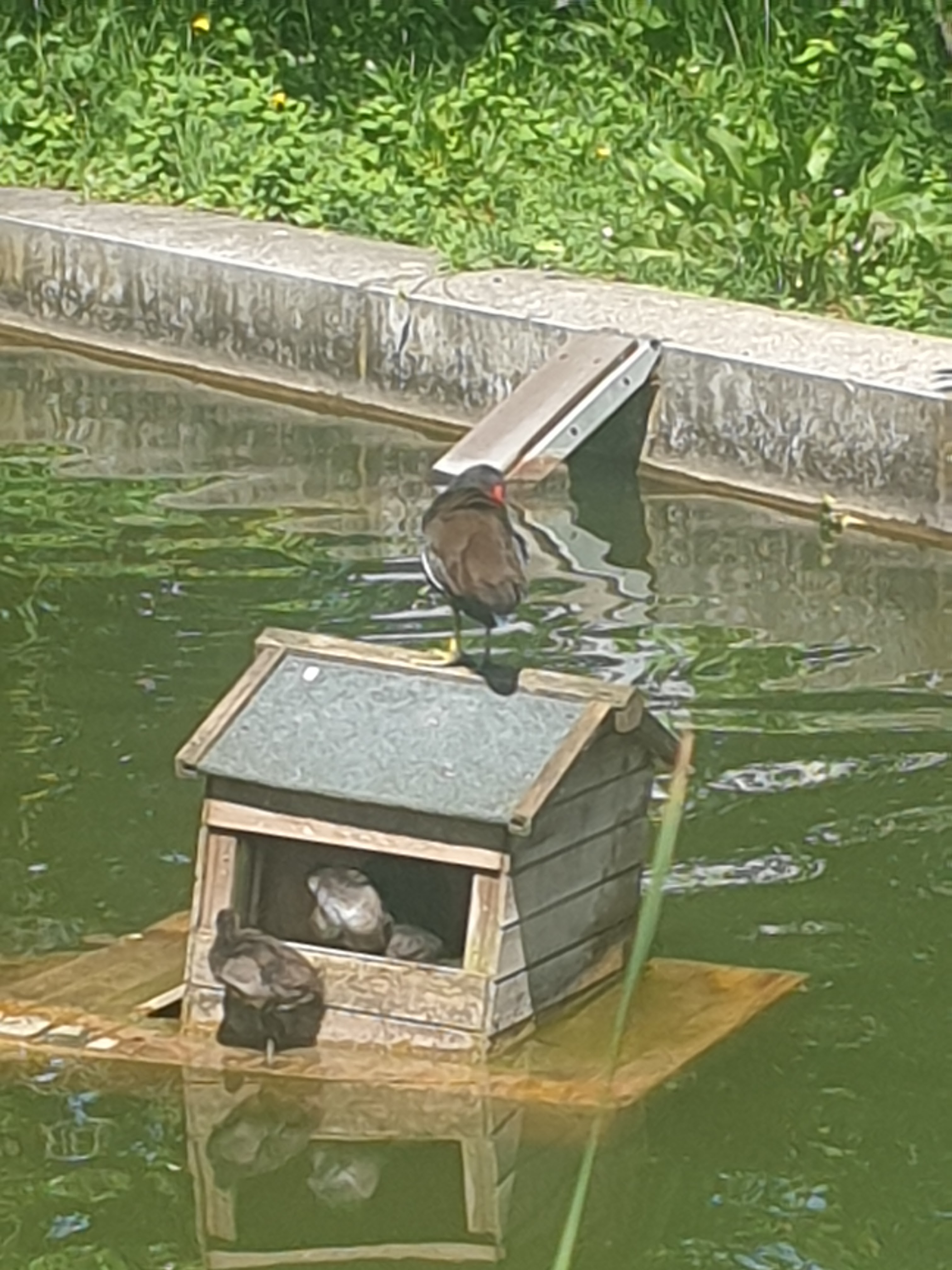 Photo n° 2 de l'avis de Chantal.a fait le 12/05/2022 à 12:00