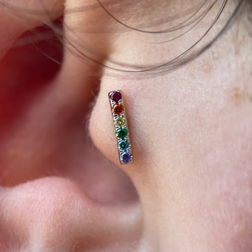 Tattoo Shop «Evil Genius Tattoo Club», reviews and photos, 420 Main St, Lafayette, IN 47901, USA