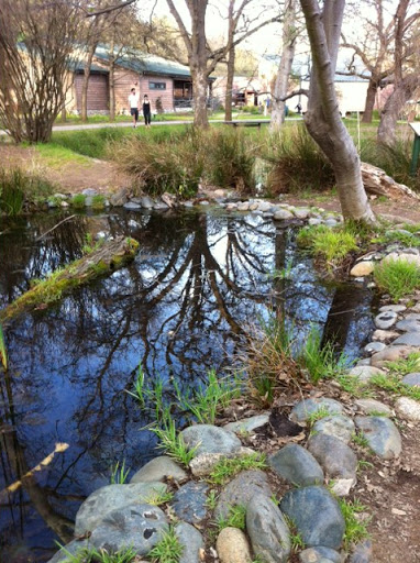 Nature Preserve «Effie Yeaw Nature Center», reviews and photos, 2850 San Lorenzo Way, Carmichael, CA 95608, USA