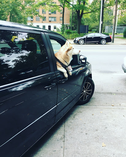 Auto Body Shop «Punjab Auto Repair», reviews and photos, 33-56 21st St, Long Island City, NY 11106, USA