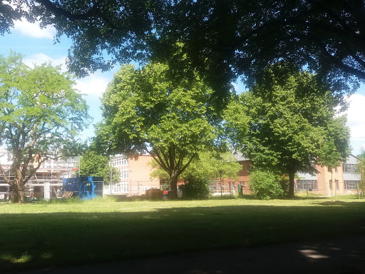 Heimke Siemen-Thiesfeld Prakt. Tierärztin unter Neumünster, 