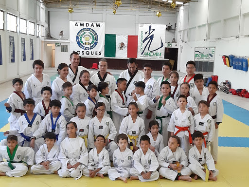 Taekwondo AMDAM BOSQUES