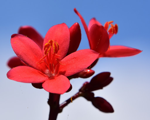 Nature Preserve «Chapel Trail Nature Preserve», reviews and photos, 19800 Sheridan St, Fort Lauderdale, FL 33332, USA