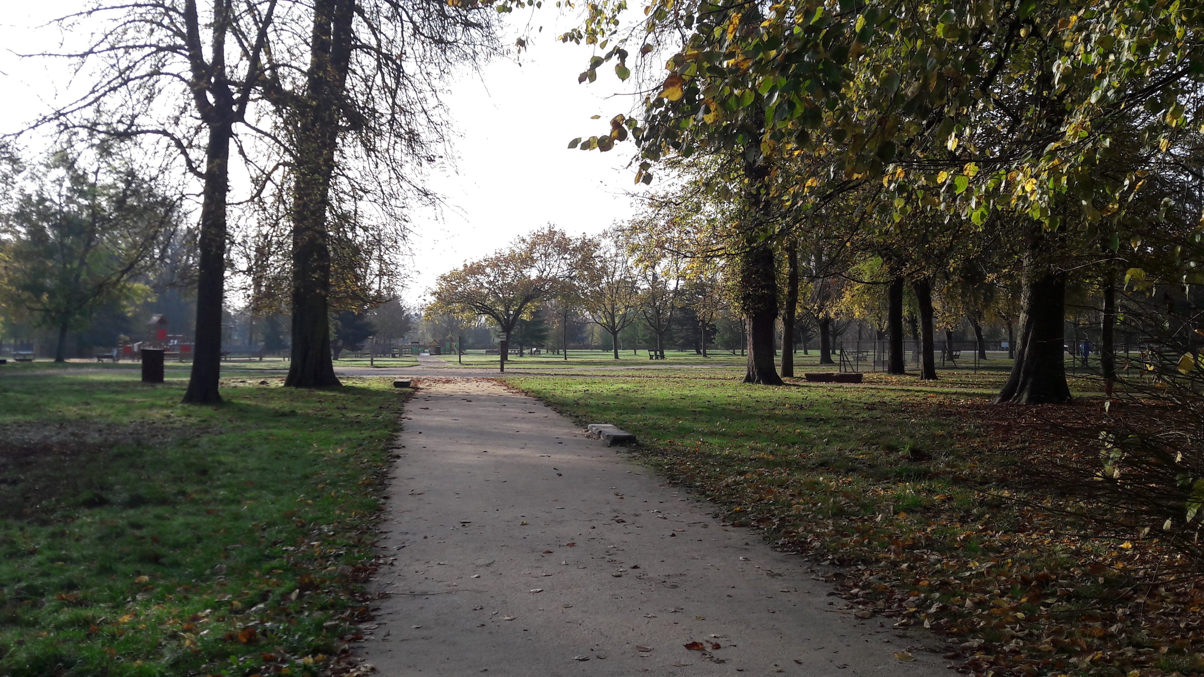 Photo n° 8 de l'avis de MISS.O fait le 06/11/2020 à 10:05