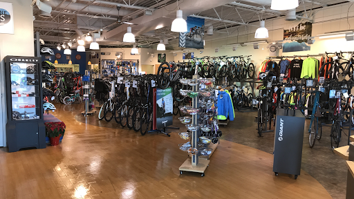 Bicycle Store «Brandywine Bikes», reviews and photos, 1812 Marsh Rd, Wilmington, DE 19810, USA