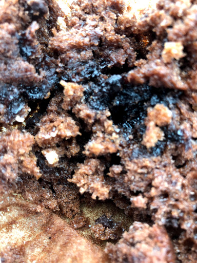 Subaru Dealer «Bob Rohrman Subaru», reviews and photos, 1600 S Creasy Ln, Lafayette, IN 47905, USA