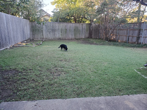 Grocery Store «Apna Bazaar Grocery & Grill», reviews and photos, 2000 Old Denton Rd, Carrollton, TX 75006, USA