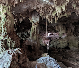 Del Mundo Tours | Agence Francophone d´Excursions Playa Del Carmen photo