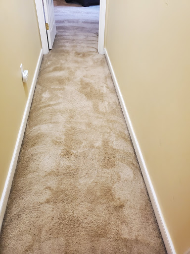 Ocd prosteam cleaning and carpet cleaning