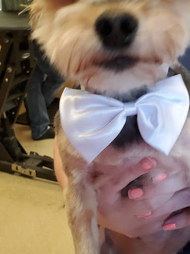 Pet Supply Store «Petsense Searcy», reviews and photos, 3450 E Race Ave, Searcy, AR 72143, USA