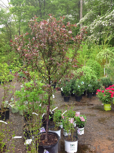 Garden Center «Victoria Gardens», reviews and photos, 1 Cottekill Rd, Rosendale, NY 12472, USA