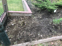 Chamberlain Lawn & Property, LLC - Photo 8 - Car repair in New Hartford, CT, Hartford