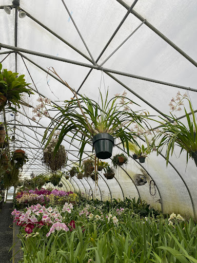 Florist «Floradise Orchids», reviews and photos, 19154 James Madison Hwy, Gordonsville, VA 22942, USA