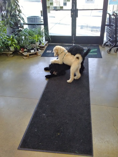 Pet Supply Store «Zamzows on Franklin Blvd», reviews and photos, 1201 Franklin Blvd, Nampa, ID 83687, USA