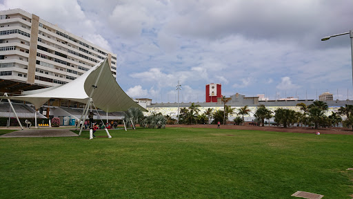 Parque del Estadio Insular