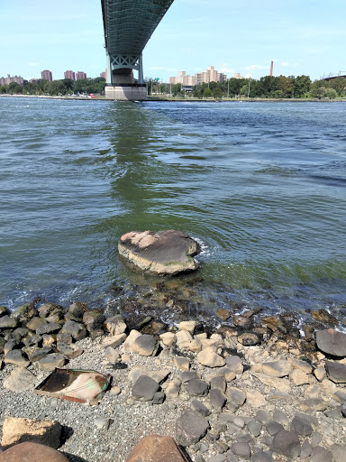 Park «Astoria Park», reviews and photos, 19 19th St, Queens, NY 11105, USA