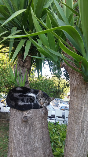 Özel Bodrum Hastanesi Taksi