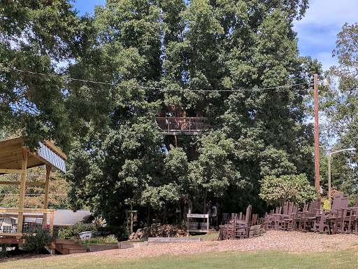 Winery «Treehouse Vineyards», reviews and photos, 301 Bay St, Monroe, NC 28112, USA