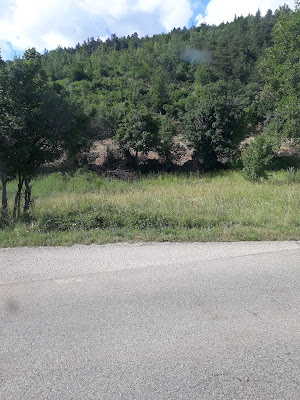 Terrain de Sault à Sault