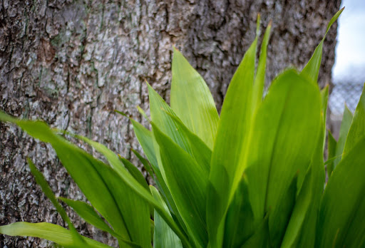 Event Venue «Something Special at Lillian Gardens», reviews and photos, 83 Greenville St, Newnan, GA 30263, USA