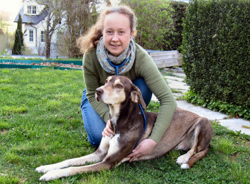 Tierärztliche Praxis Imogen Berger unter Eckental, 