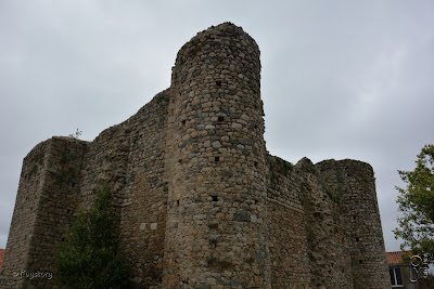Donjon de Châteaumur à Sèvremont
