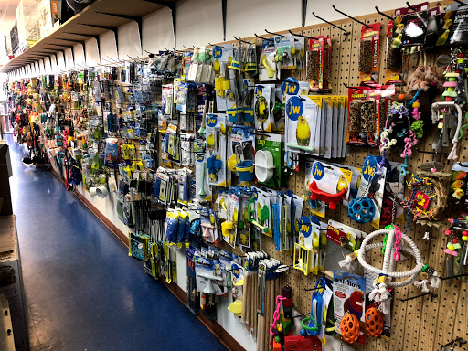 Pet Store «Pet Nation Llc», reviews and photos, 1898 Andorra St, Navarre, FL 32566, USA