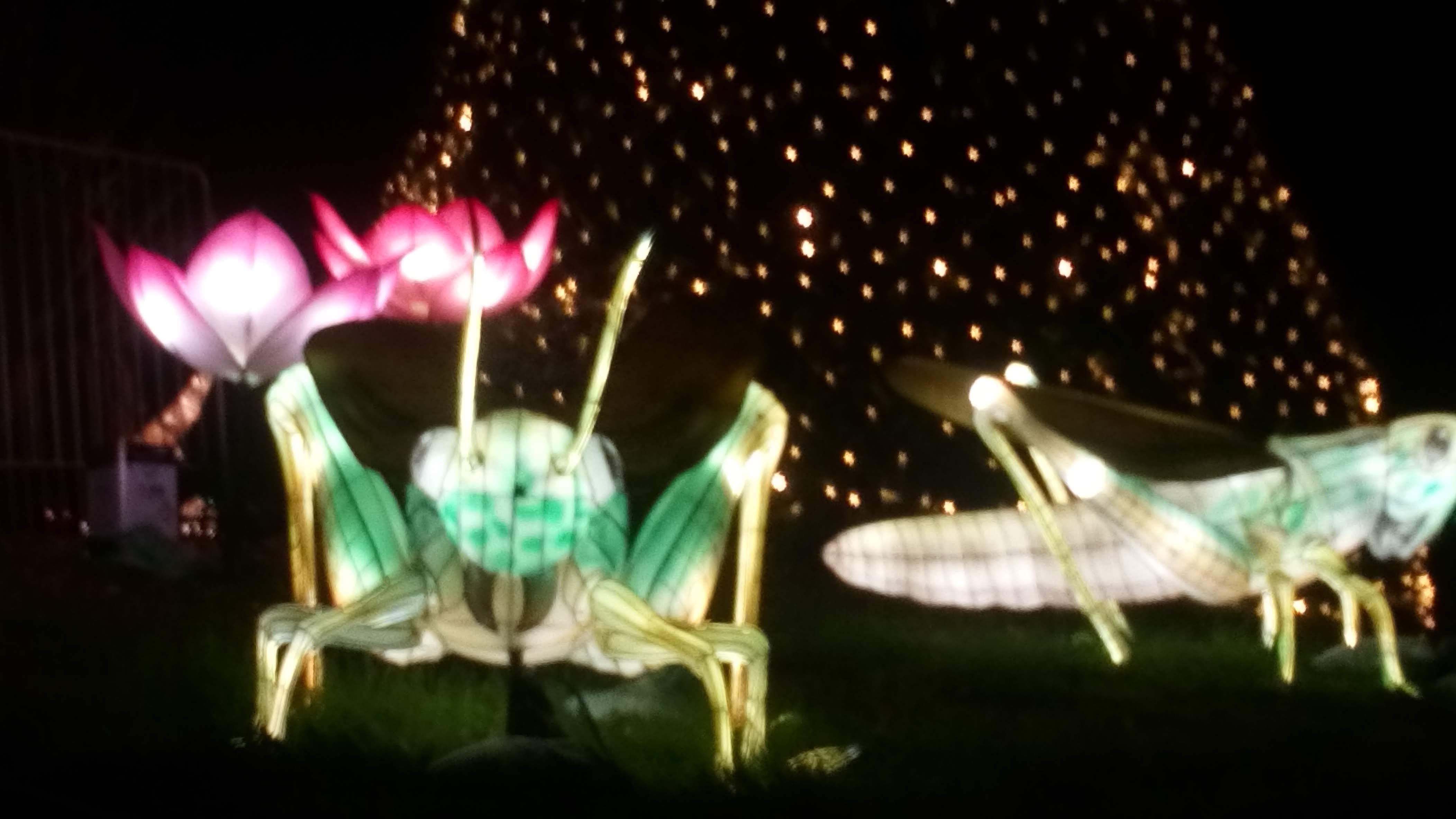 Photo n° 7 de l'avis de Veronique.A fait le 31/12/2019 à 19:05