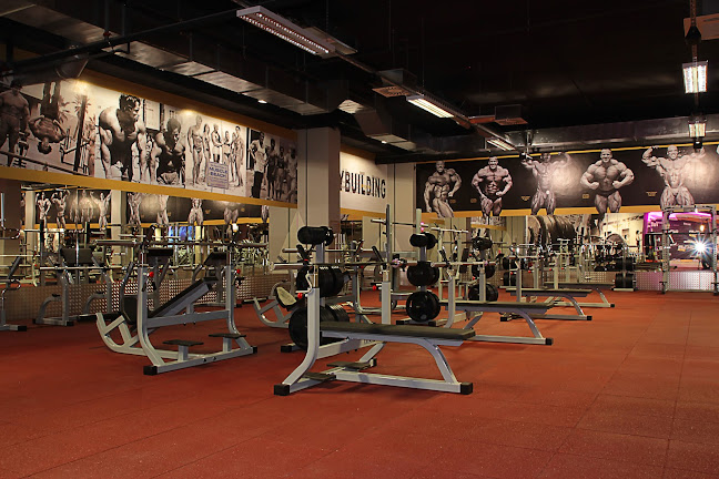 Cutler Fitness Győr