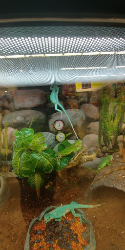 Pet Supply Store «Petco Animal Supplies», reviews and photos, 1320 E Lincoln Way p101, Sparks, NV 89434, USA